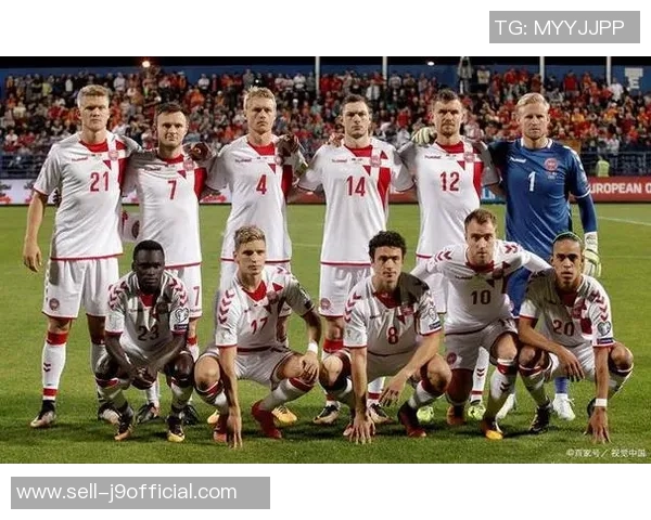 白俄罗斯足球队在瑞士的挑战与机遇分析